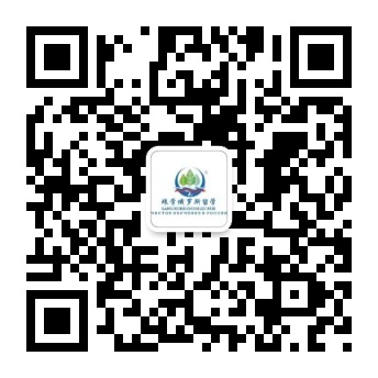 关注微信公众号